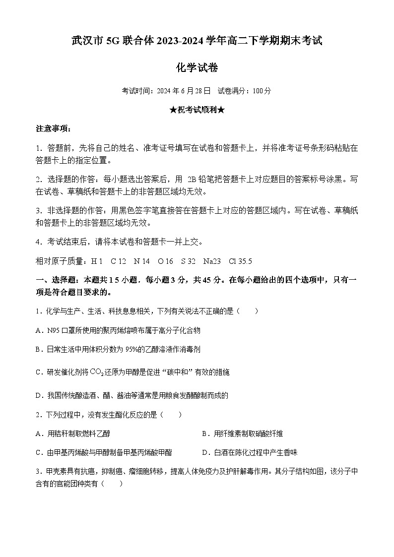 湖北省武汉市5G联合体2023-2024学年高二下学期期末考试化学试卷（含答案）01