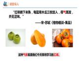 7.2.1 乙烯的性质及用途（同步课件）-2023-2024学年高一化学同步精品课堂（人教版2019必修第二册）