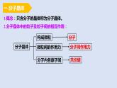 人教版高中化学选择性必修二课件 第三章 第二节 分子晶体与共价晶体 第一课时 分子晶体