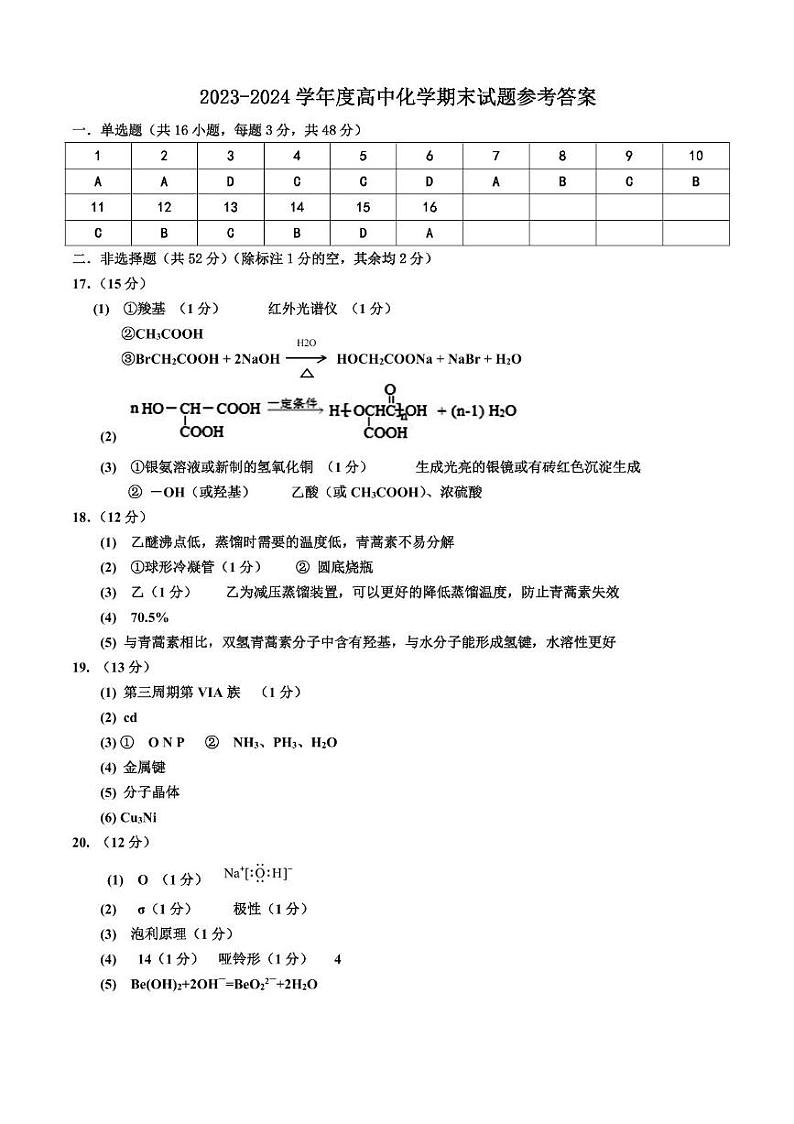 河北省石家庄市辛集市2023-2024学年高二下学期7月期末考试化学试题01