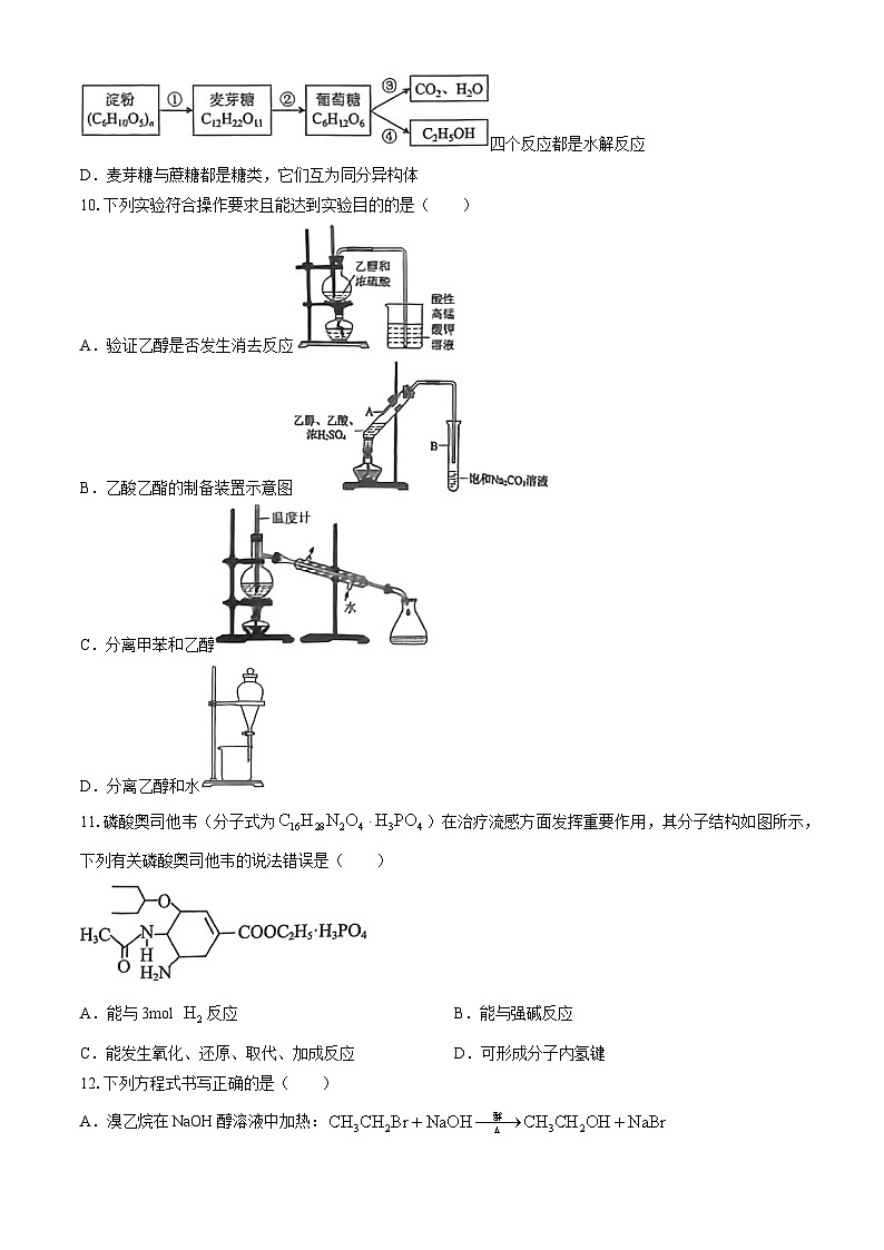 福建省福州市2023-2024学年高二下学期期末考试化学试题（含答案）03