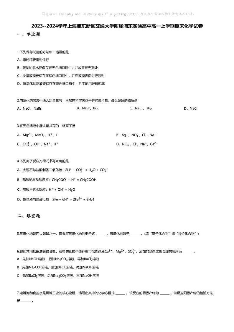 [化学][期末]2023_2024学年上海浦东新区交通大学附属浦东实验高中高一上学期期末化学试卷第1页