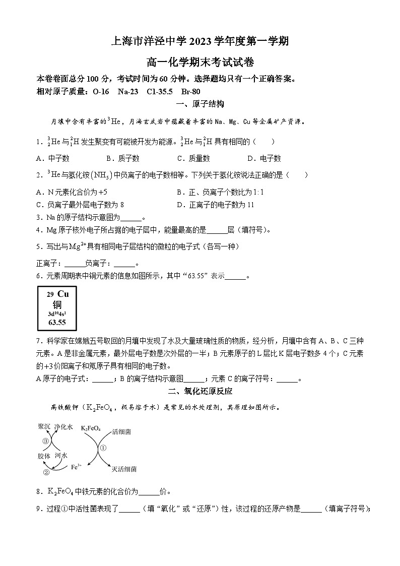 上海市洋泾中学  2023-2024学年第一学期高一化学期末考试试卷01