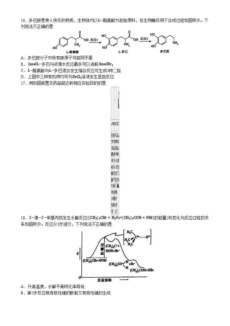 浙江省宁波市慈溪市2023-2024学年高二下学期6月期末化学试题（Word附含答案）03
