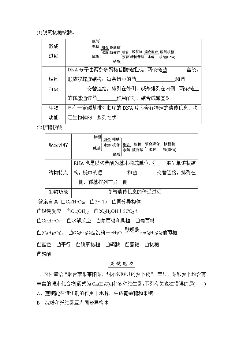高考化学一轮复习第10章有机化学基础第52讲油脂生物大分子合成高分子学案03