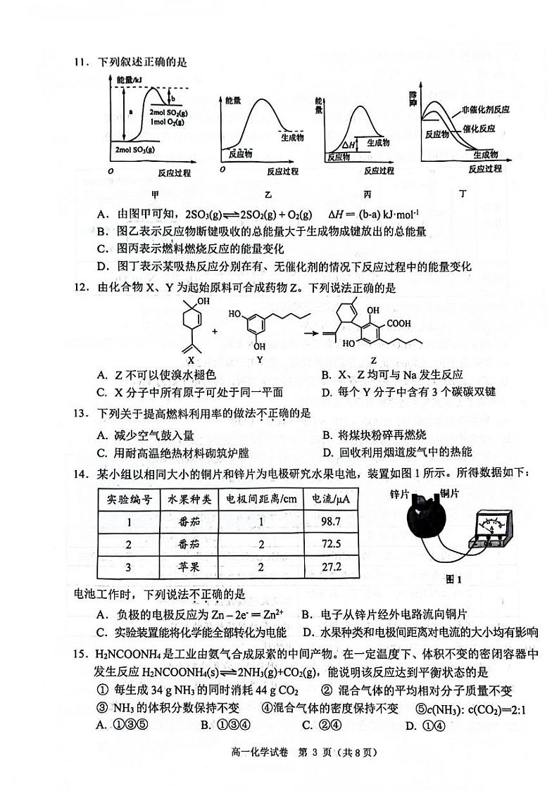 广东省大湾区2023-2024学年高一下学期期末联合考试化学试题第3页