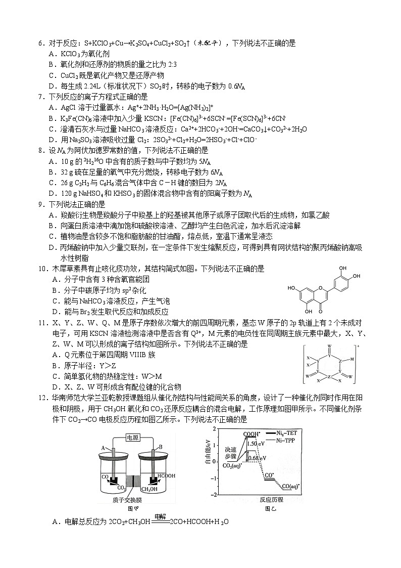 9+1_2024届_化学选考模拟卷01 试题卷第2页
