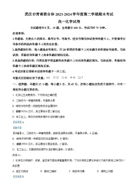 湖北省武汉市常青联合体2023-2024学年高一下学期期末考试化学试卷（Word版附解析）