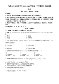 安徽省马鞍山中加双语学校2023-2024学年高一下学期期中考试化学试卷（含答案）