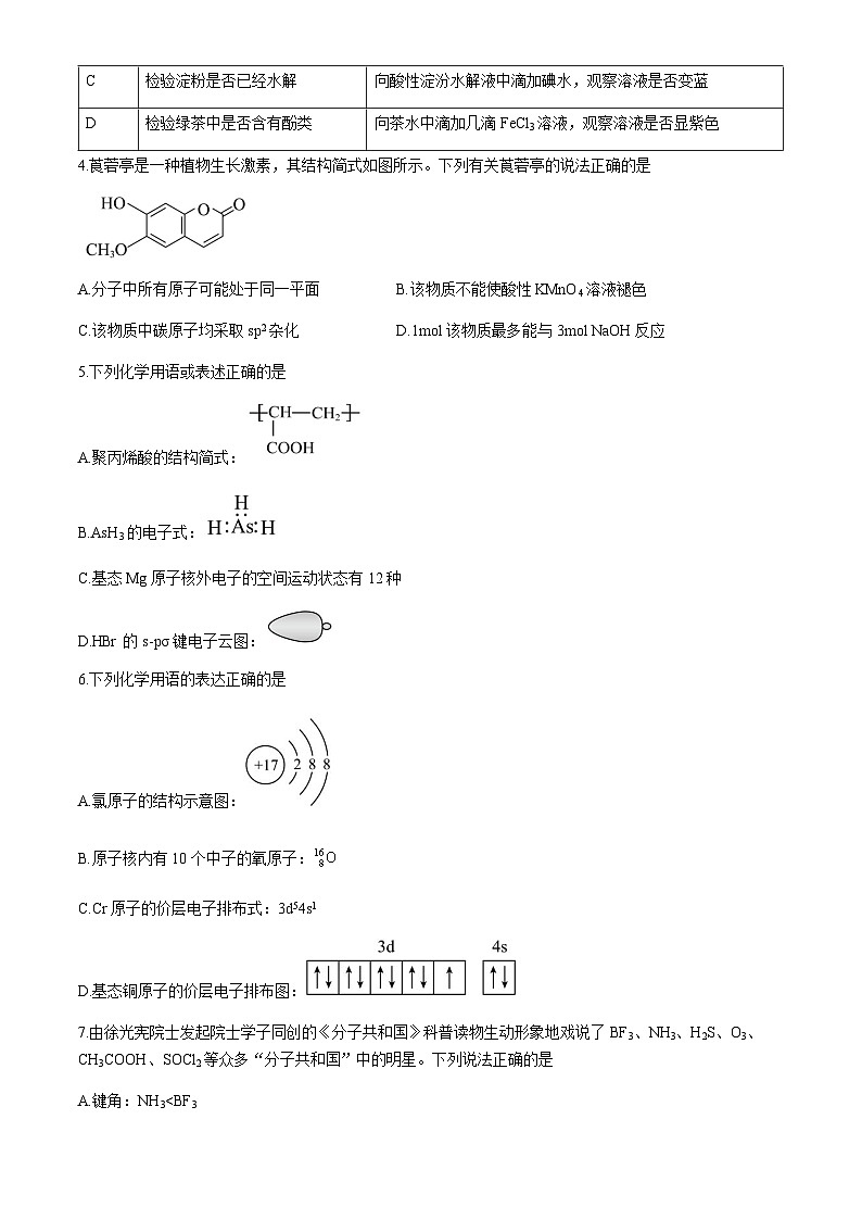 广东省广州市真光中学2023-2024学年高二下学期期末考试化学试卷（含答案）02