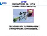 3.3 液晶、纳米材料与超分子（课件）-2023-2024学年高二化学同步精品课堂（鲁科版2019选择性必修2）