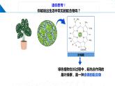 2.3.2 配位键（课件）-2023-2024学年高二化学同步精品课堂（鲁科版2019选择性必修2）