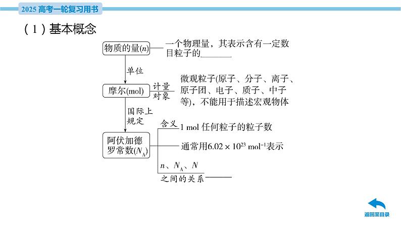 第4讲 物质的量 气体摩尔体积  课件—2025届高考化学大一轮复习07