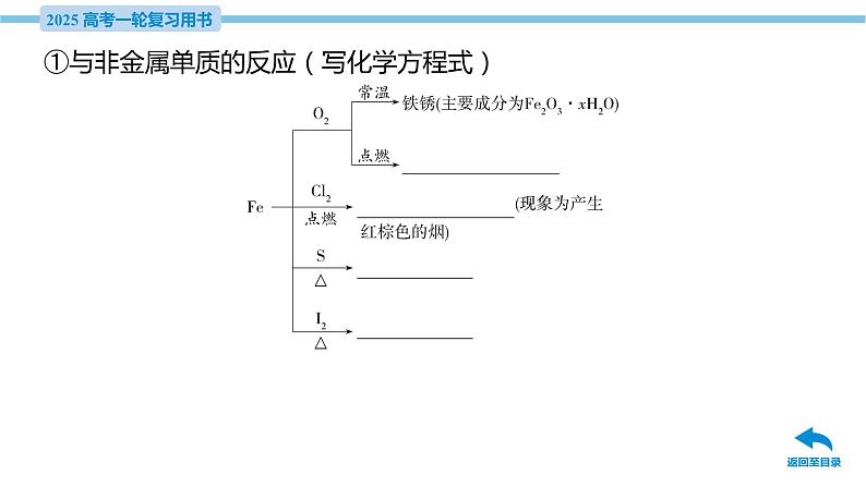 第8讲 铁及其化合物  课件—2025届高考化学大一轮复习08