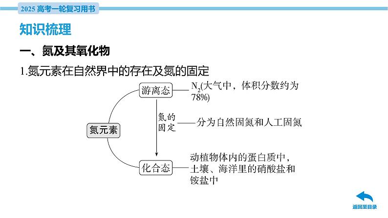 第13讲 氮及其氧化物 氨与铵盐  课件—2025届高考化学大一轮复习06