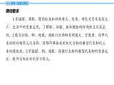 第39讲 醛 酮 羧酸 羧酸衍生物  课件—2025届高考化学大一轮复习