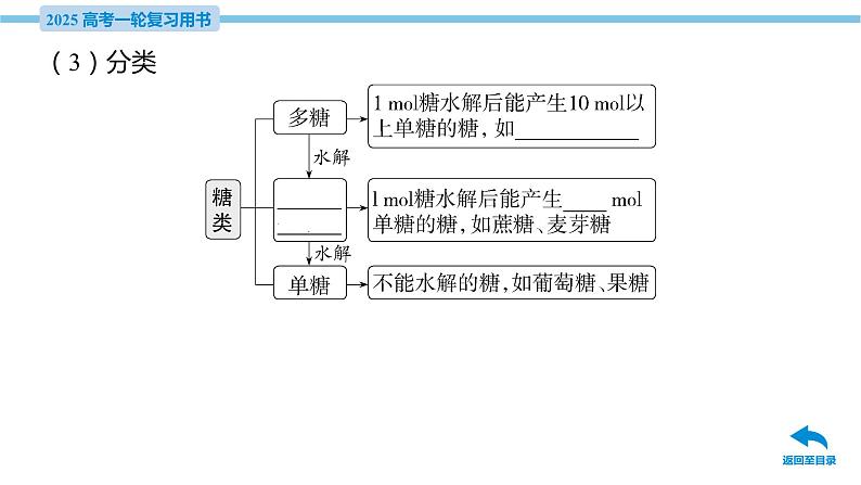 第40讲 生物大分子  课件—2025届高考化学大一轮复习07