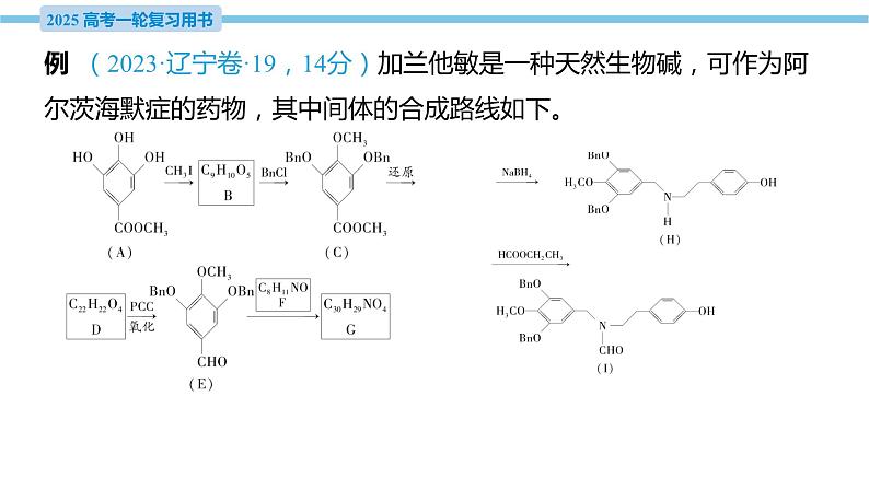 热点题型探究19 有机推断综合题的解题策略  课件—2025届高考化学大一轮复习06