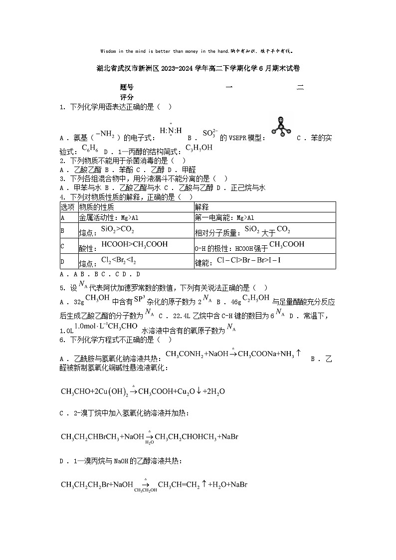[化学][期末]湖北省武汉市新洲区2023-2024学年高二下学期化学6月期末试卷第1页