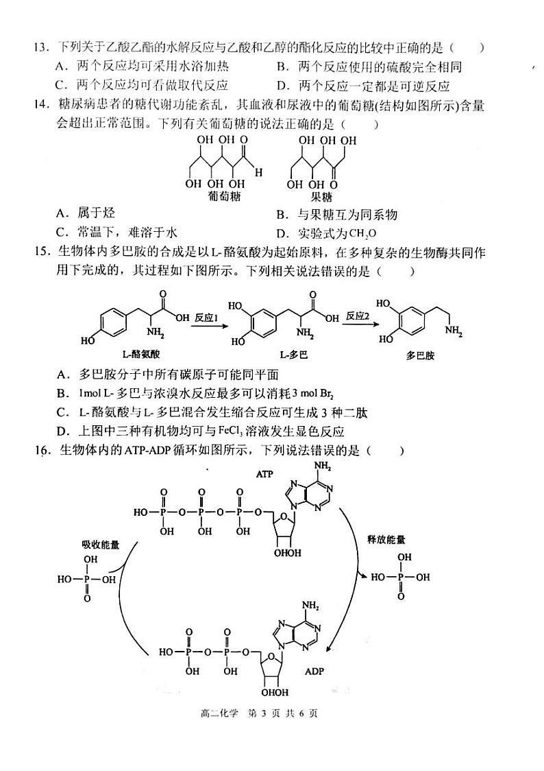 河南省周口市鹿邑县第二高级中学2023-2024学年度第二学期期末试卷高二下化学试卷（PDF版含答案）03