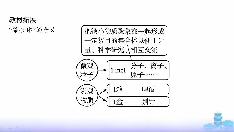 人教版高中化学必修第一册第2章海水中的重要元素——钠和氯第3节第1课时物质的量、摩尔质量课件第8页