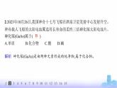 人教版高中化学必修第一册第1章物质及其变化分层作业1物质的分类课件