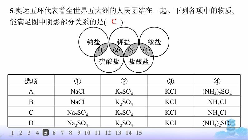 人教版高中化学必修第一册第1章物质及其变化分层作业1物质的分类课件第6页