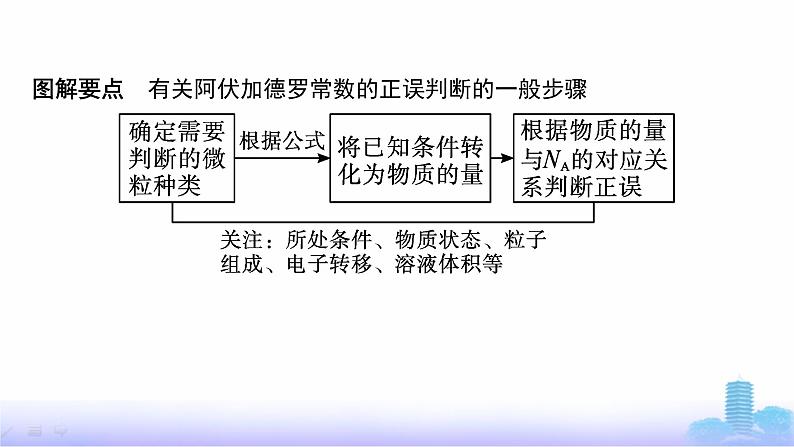 人教版高中化学必修第一册第2章海水中的重要元素——钠和氯微专题3阿伏加德罗常数的考查应用课件第7页