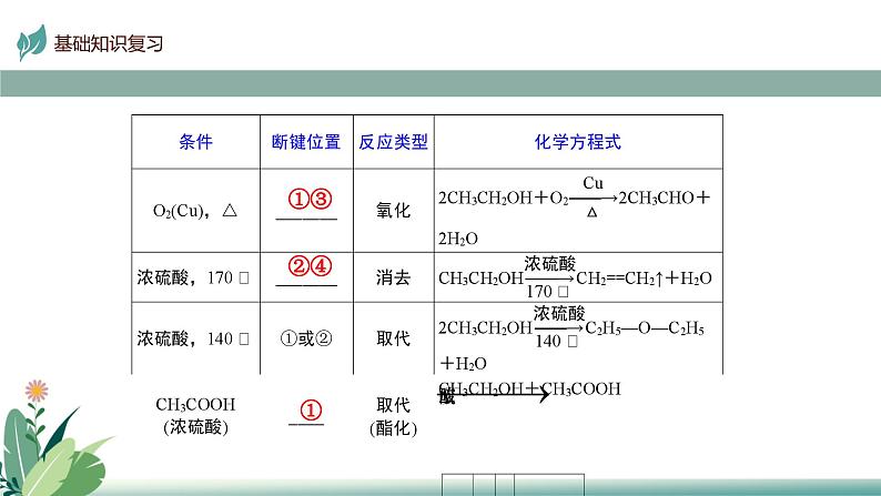 2025届高考一轮复习 烃的含氧衍生物 课件08