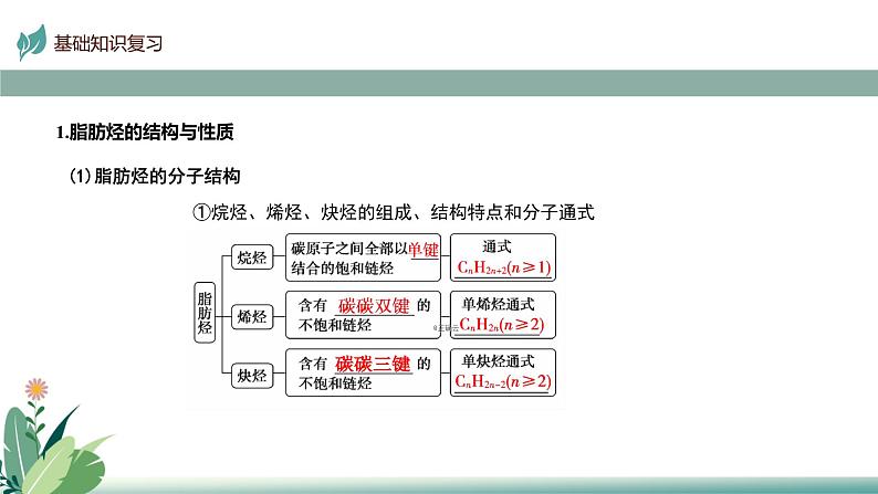 2025届高考一轮复习 烃和卤代烃 课件第5页