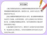 人教版（2019）高中化学必修一专题2《两种重要的钠盐》课件