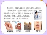 人教版（2019）高中化学必修一专题2  《检验食品中的铁元素》课件