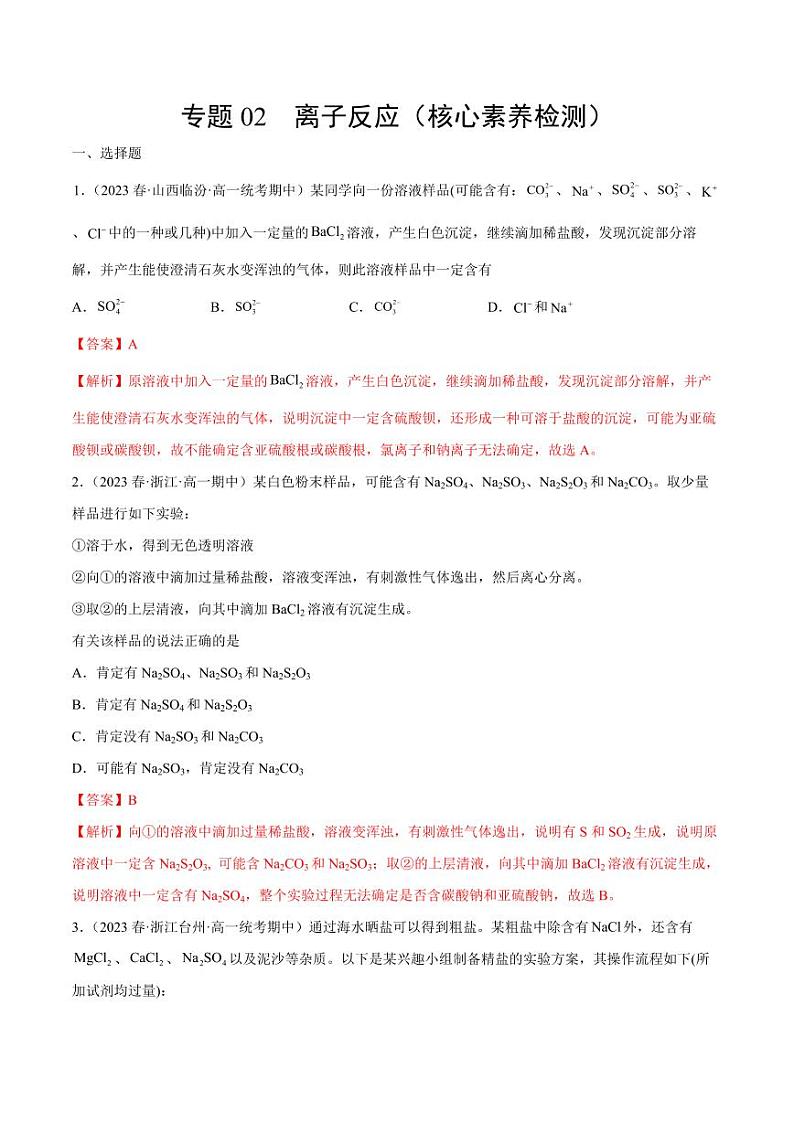 专题02 离子反应（核心素养检测）-2023-2024学年高一化学知识整合讲练（人教版2019必修第一册）（含答案）01