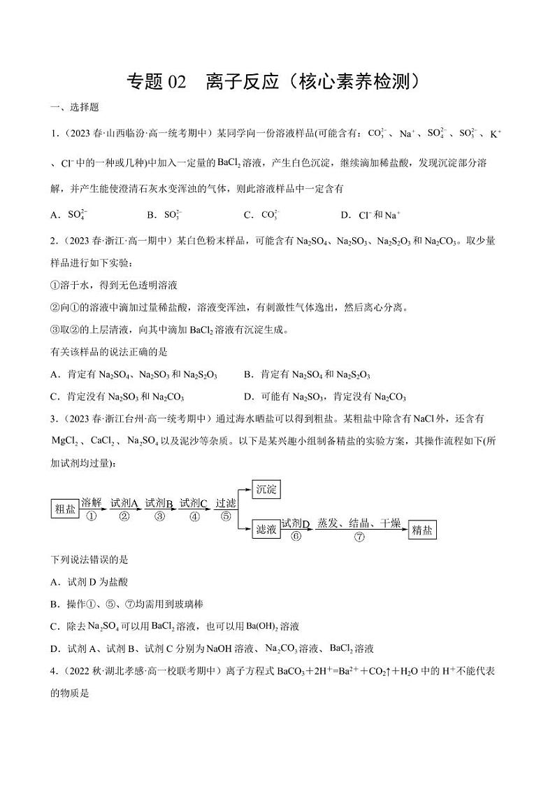 专题02 离子反应（核心素养检测）-2023-2024学年高一化学知识整合讲练（人教版2019必修第一册）（含答案）01