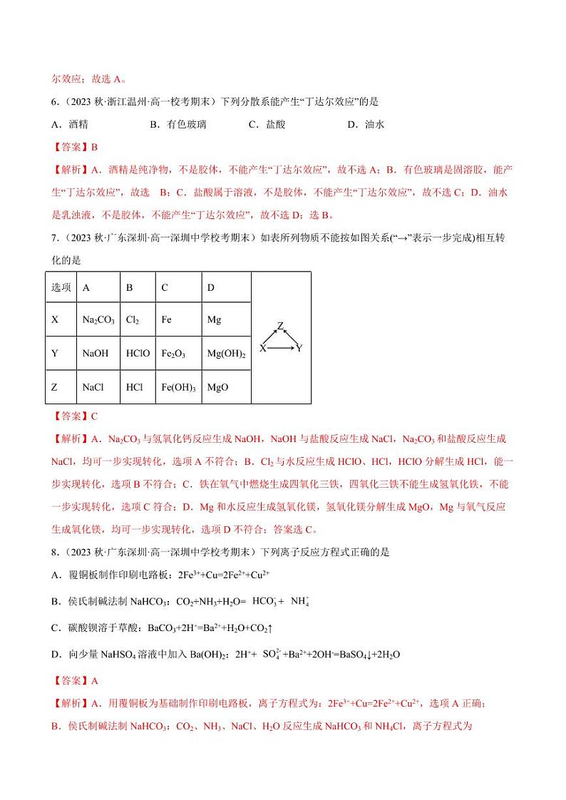 专题04 第一章整理与提升（核心素养检测）-2023-2024学年高一化学知识整合讲练（人教版2019必修第一册）（教师版）第3页