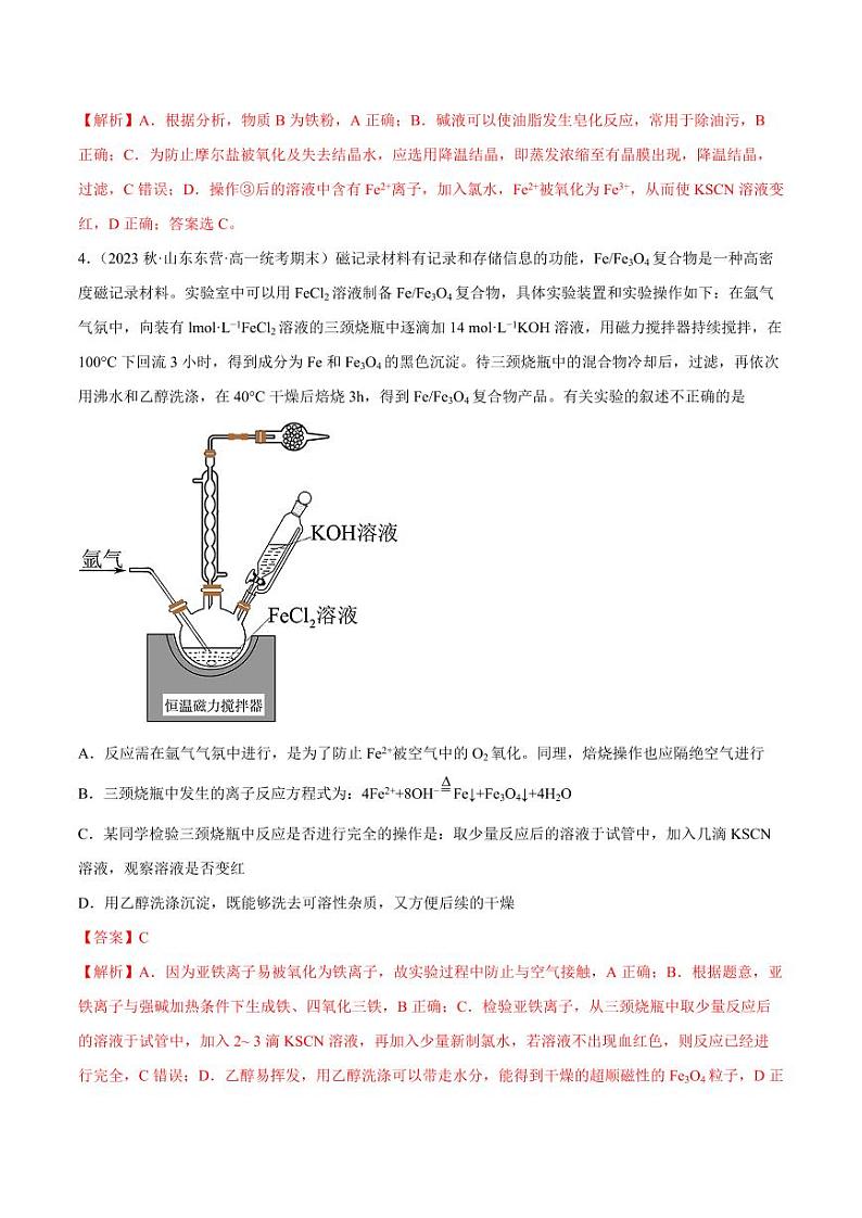 专题13 实践活动2 铁及其化合物的性质（核心素养检测）-2023-2024学年高一化学知识整合讲练（人教版2019必修第一册）（教师版）第3页