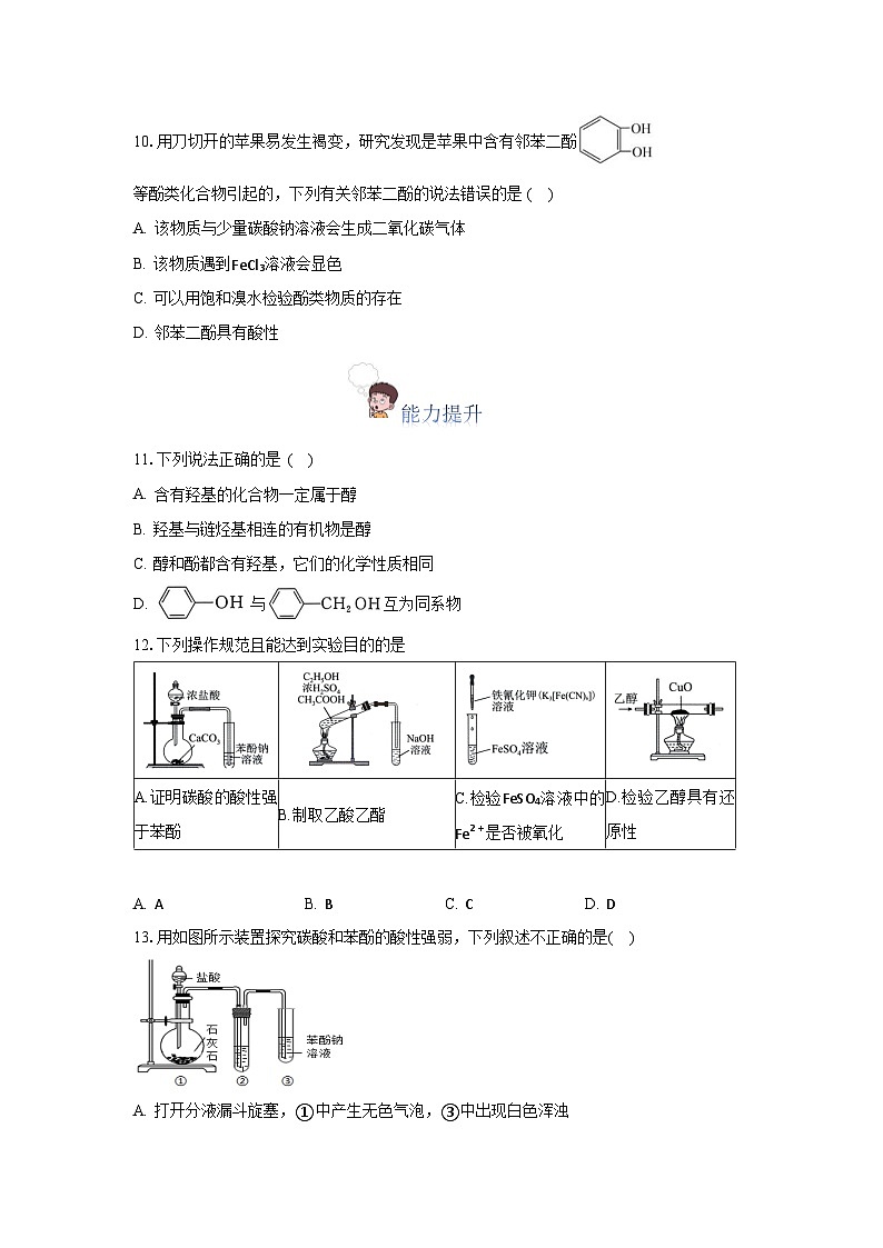人教版（2019）高中化学选择性必修三3.2.2《酚》 分层作业（原卷版）03
