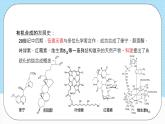 人教版（2019）高中化学选择性必修三3.5.3《有机合成路线的设计与实施》课件