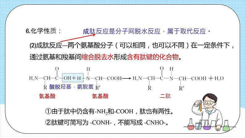人教版（2019）高中化学选择性必修三4.2《蛋白质》课件08