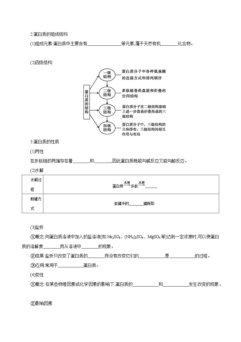 人教版（2019）高中化学选择性必修三4.2《蛋白质》 导学案（解析版）02