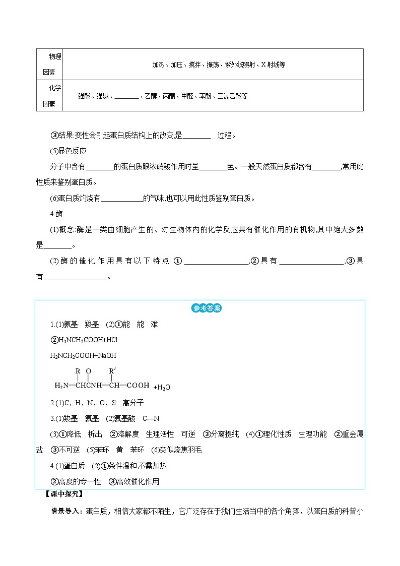 人教版（2019）高中化学选择性必修三4.2《蛋白质》 导学案（解析版）03