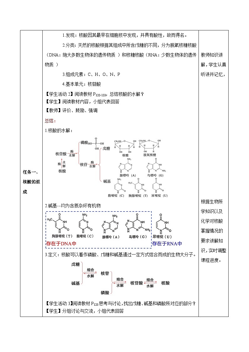 人教版（2019）高中化学选择性必修三4.3《核酸》 教案03