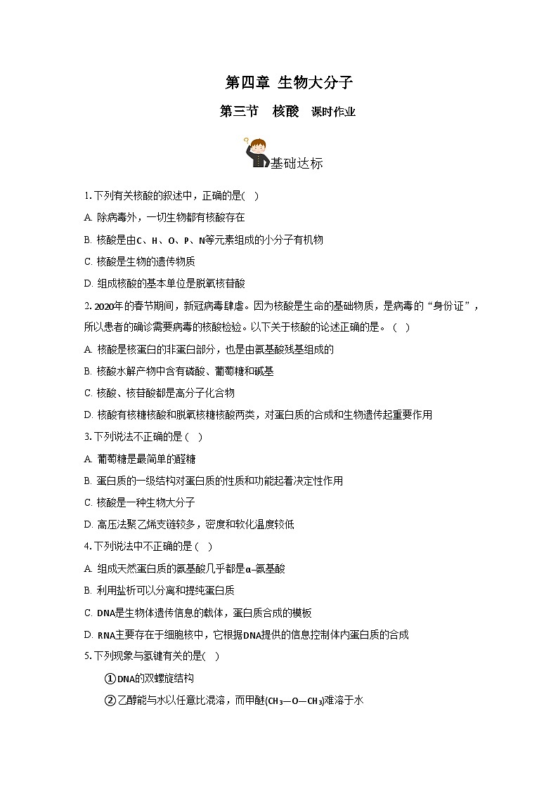 人教版（2019）高中化学选择性必修三4.3《核酸》 分层作业（原卷版）01