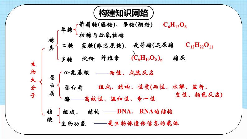 人教版（2019）高中化学选择性必修三第4章《生物大分子》复习复习课件03