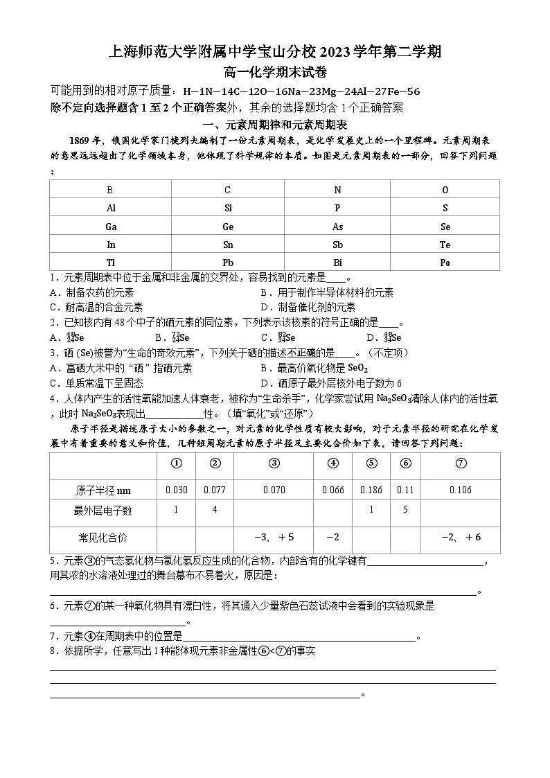 上海市上海师范大学附属中学宝山分校2023-2024学年高一下学期期末考试化学试题（含答案）01