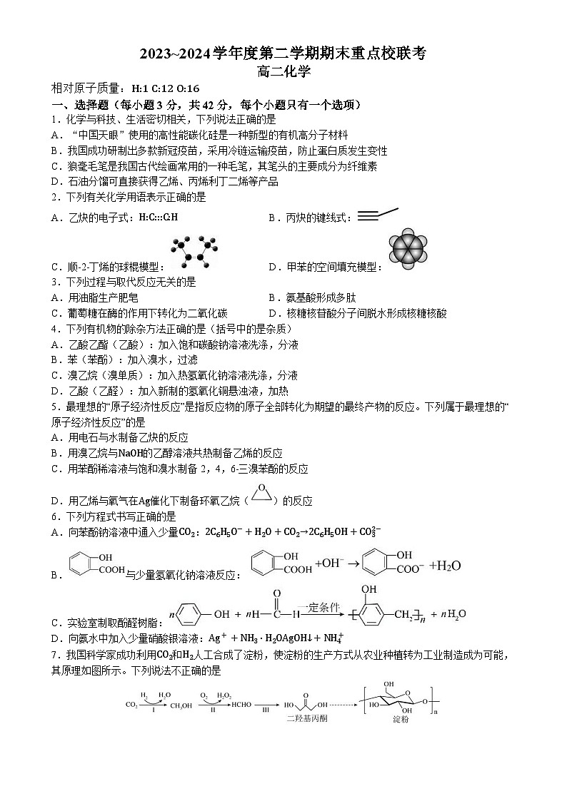 天津市重点校联考2023-2024学年高二下学期期末考试化学试卷（含答案）01