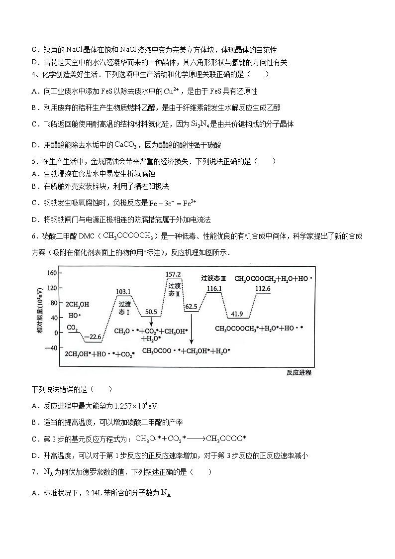 广东省四校（华附、省实、广雅、深中）2023-2024学年高二下学期期末联考化学试题（含答案）第2页