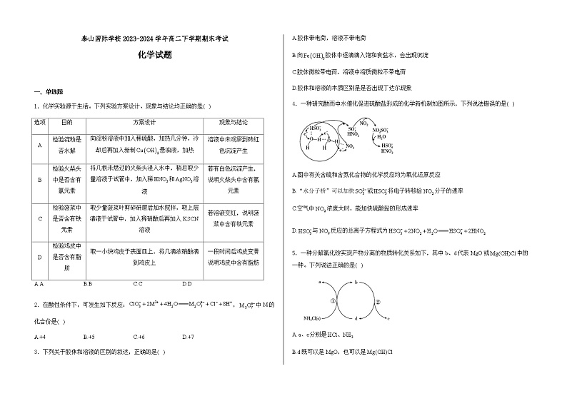 山东省泰安市泰山国际学校2023-2024学年高二下学期期末考试化学试卷（含答案）01