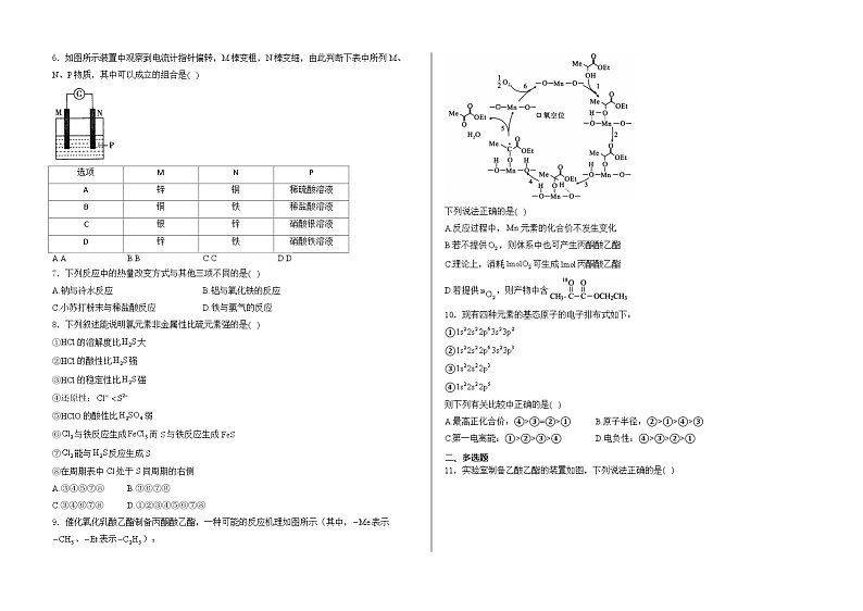 山东省泰安市肥城市慈明学校2023-2024学年高一下学期期末检测+化学试卷02