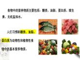 7.4 基本营养物质 课件-人教版高中化学必修第二册